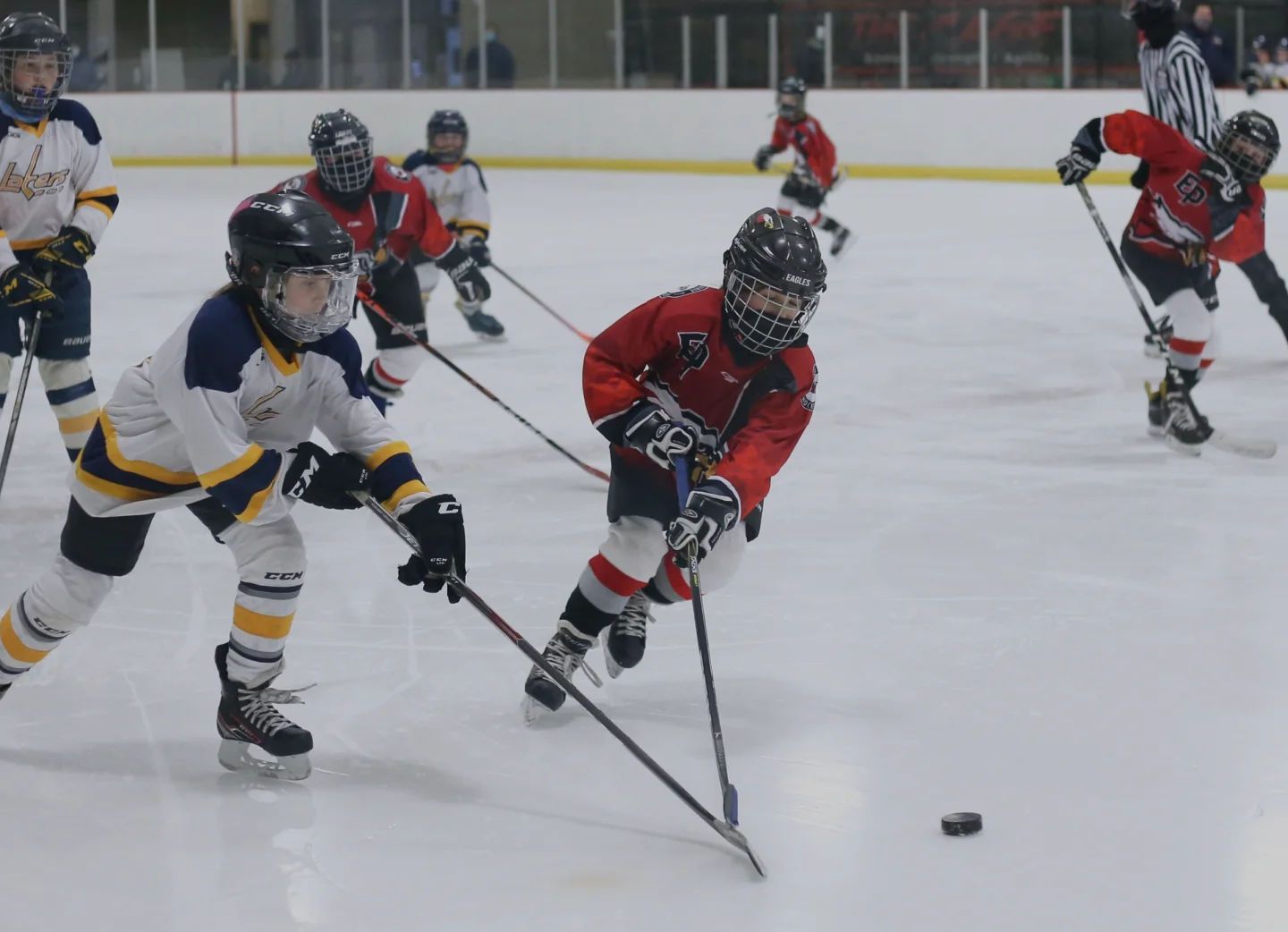 Smarter Way to Manage Your Ice Rink